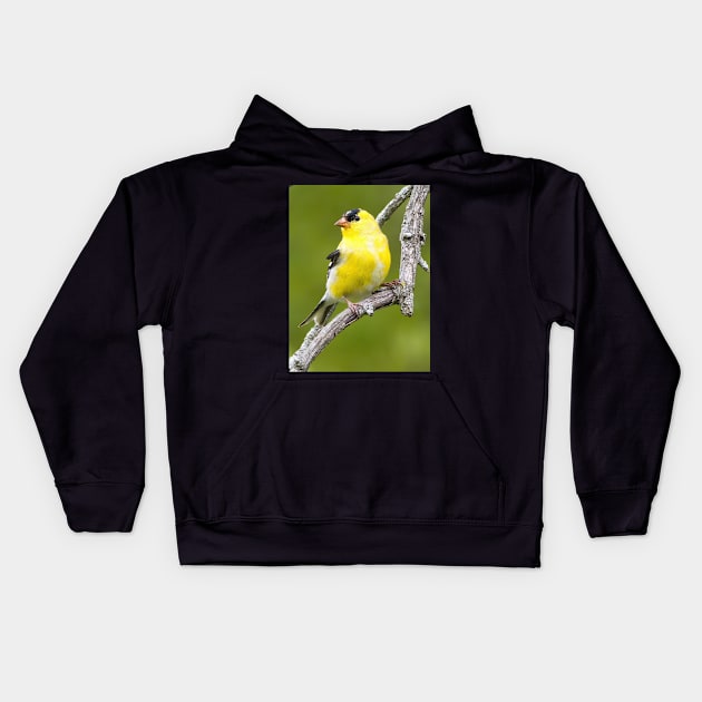 American Goldfinch2 Kids Hoodie by BirdsnStuff